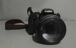 stock