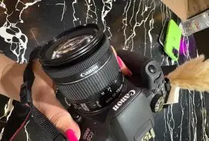 stock