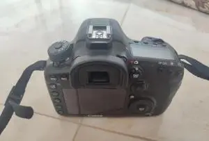 stock