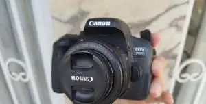 stock