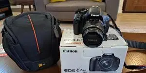 stock