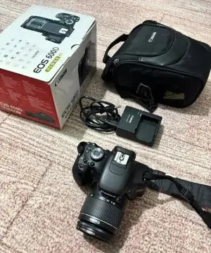 stock