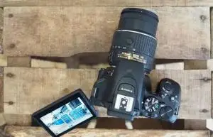 stock