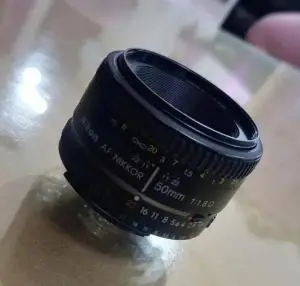 stock