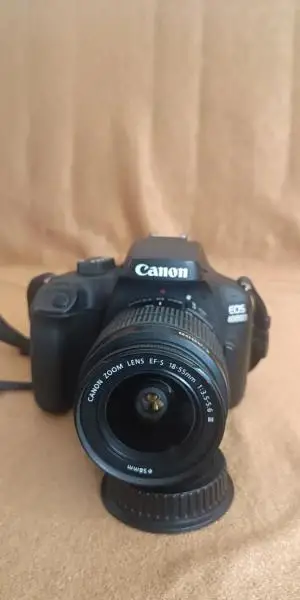 stock