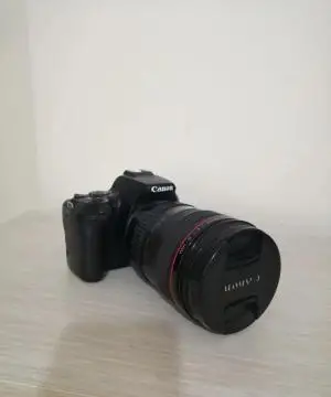 stock