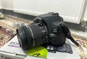 stock