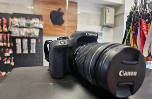 stock