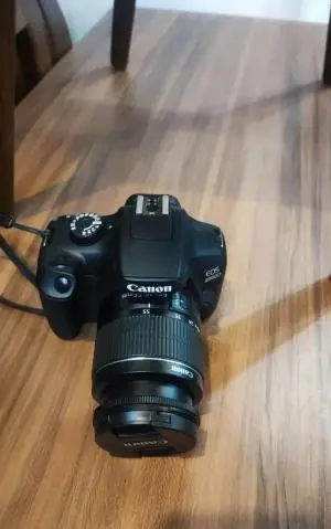 stock