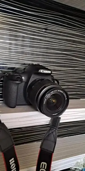 stock
