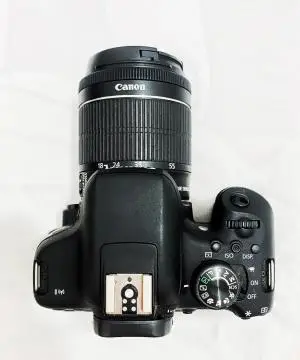 stock