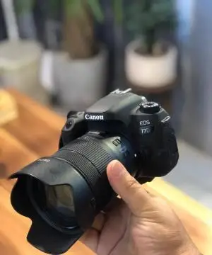 stock