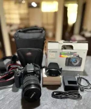 stock