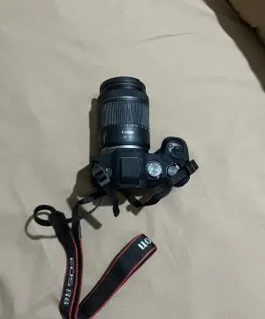 stock