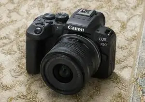 stock