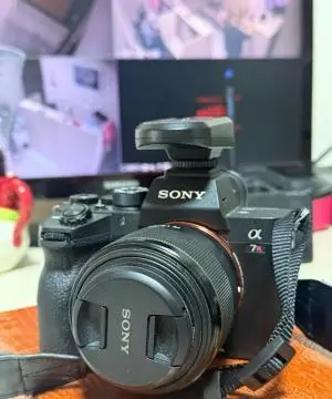 stock
