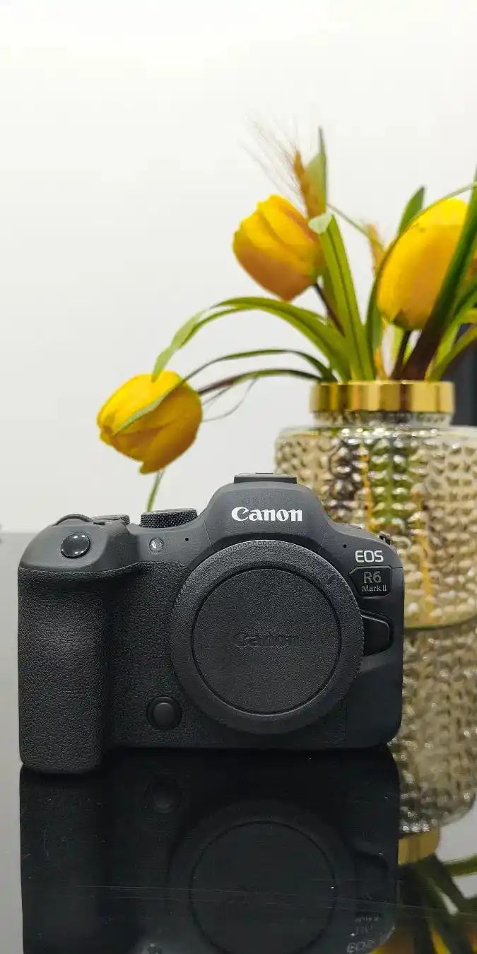 R6 mark ii with EF 24-70 f.2.8 دست دو