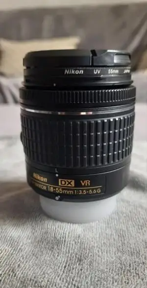 stock