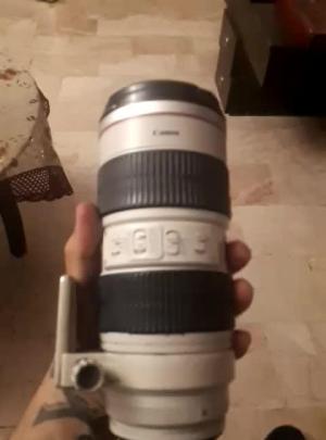 stock
