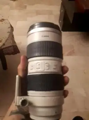 stock