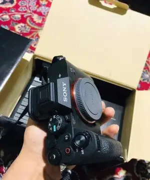 stock