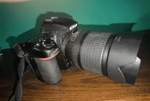stock