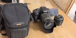 stock
