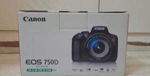 stock
