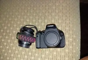 stock
