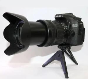 stock