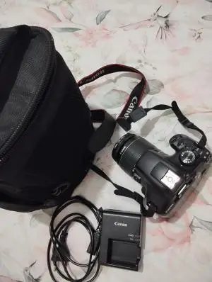 stock