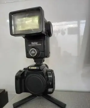 stock