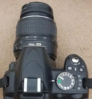 stock