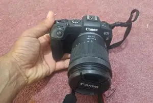 stock