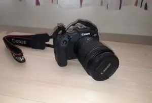 stock