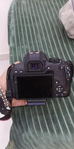 stock