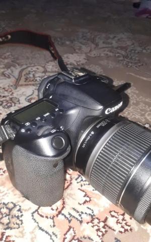 stock