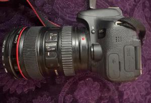 stock