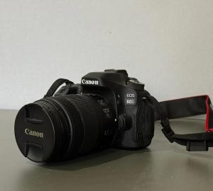 stock