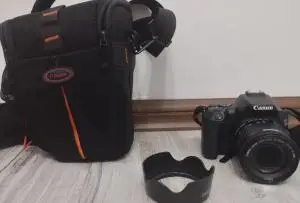 stock