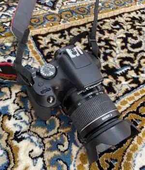 stock