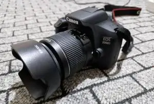 stock