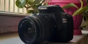 stock
