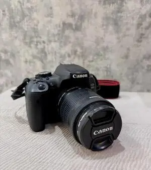 stock