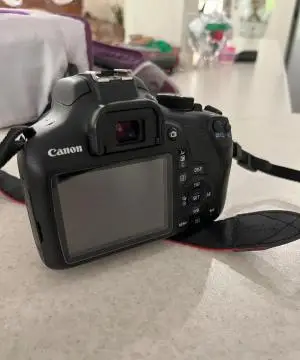 stock