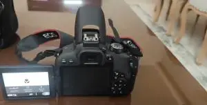 stock