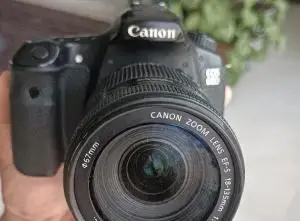 stock