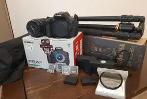 stock