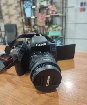 stock