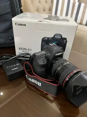 stock